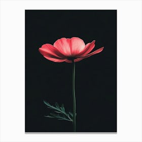 Single Pink Flower On Black Background 2 Canvas Print