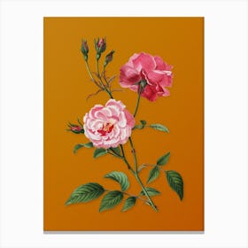 Vintage Ever Blowing Rose Botanical on Sunset Orange n.0221 Canvas Print