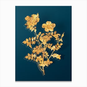 Vintage Variegated Burnet Rose Botanical in Gold on Teal Blue n.0111 Canvas Print