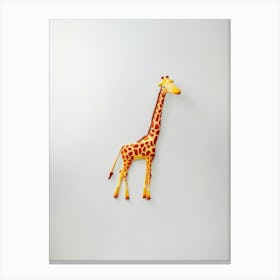 Giraffe 97 Canvas Print