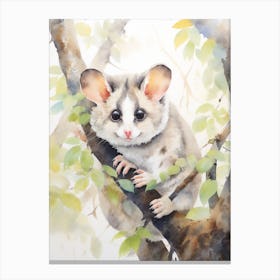 Light Watercolor Painting Of A Ringtail Possum 1 Canvas Print