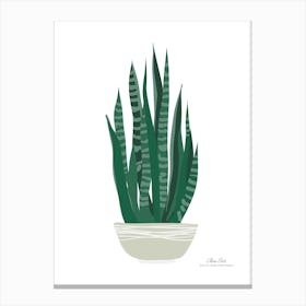 Aloe vera plant. Green plant. Beautiful plant. Thorns plant. Aloe vera flowers.1 Canvas Print