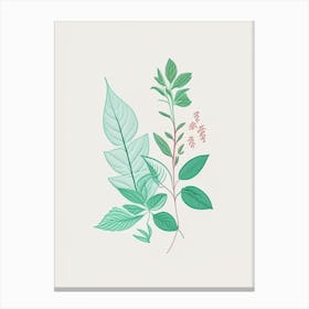Mint Spices And Herbs Minimal Line Drawing 1 Canvas Print