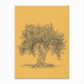 Olive Tree Minimalistic Drawing 1 Canvas Print