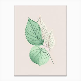 Mint Leaf Contemporary 4 Canvas Print