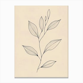 Drawing Of A Leaf 4 Canvas Print