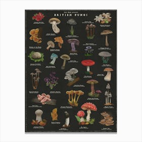 Fungi Art Noir Magical Mushroom Print  Canvas Print