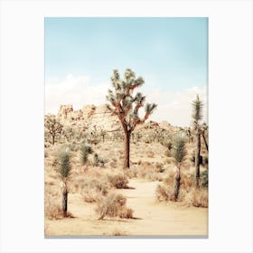 Joshua Tree Canvas Print