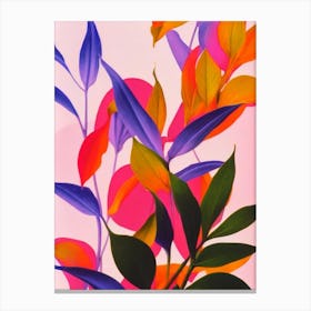 Epipremnum Aureum Colourful Illustration Plant Canvas Print