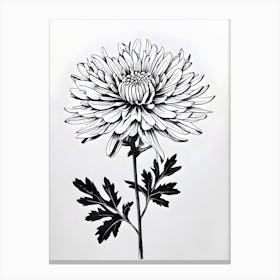 Chrysanthemum 10 Canvas Print