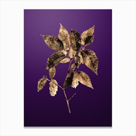 Gold Botanical American Hophornbeam on Royal Purple Canvas Print