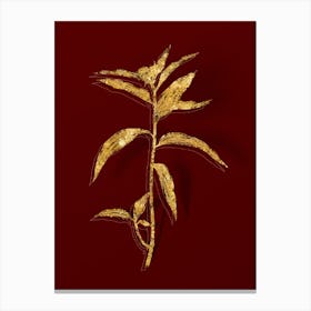 Vintage Dayflower Botanical in Gold on Red Canvas Print