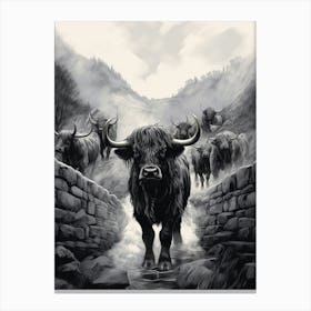 Black & White Illustration Of Highland Cow With A Brick Wall Canvas Print