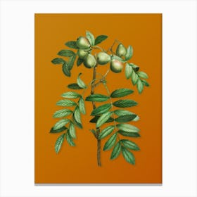 Vintage Service Tree Botanical on Sunset Orange n.0129 Canvas Print