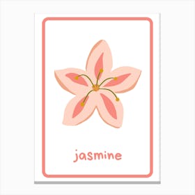 Jasmine Flower Canvas Print