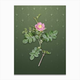 Vintage Pink Sweetbriar Rose Botanical on Lunar Green Pattern n.1030 Canvas Print