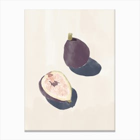 Two Figs Canvas Print