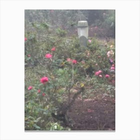 Floral Garden in Kodaikanal, India. Photograph Canvas Print