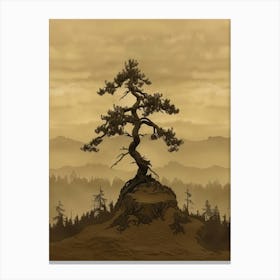 Lone Pine Tree Canvas Print