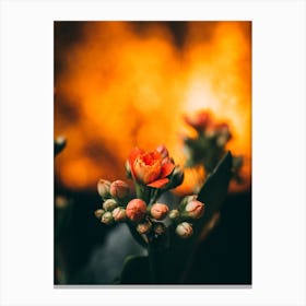 Poster Flower Art Print 20 Canvas Print