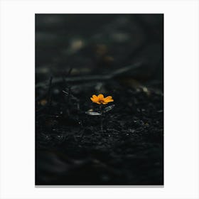 Flower In The Dark 85 Canvas Print