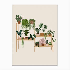 Plants On Shelf Canvas Print