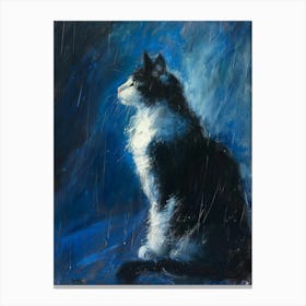 Cat In The Rain 4 Canvas Print