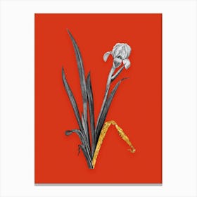 Vintage Crimean Iris Black and White Gold Leaf Floral Art on Tomato Red n.1142 Canvas Print