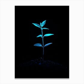 Glow In The Dark Plant 1 Canvas Print