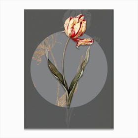 Vintage Botanical Didier's Tulip on Circle Gray on Gray n.0231 Canvas Print