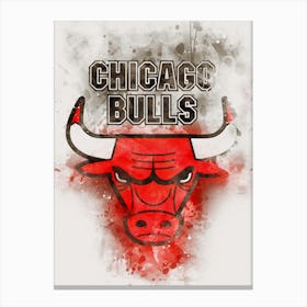 Chicago Bulls Paint Canvas Print