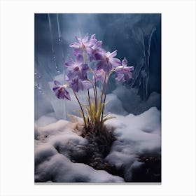 Beautiful Winter Flowers 38 Canvas Print