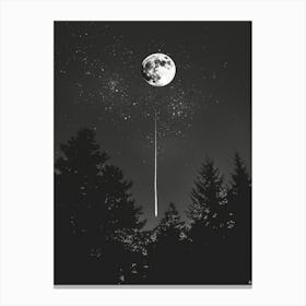 Moonlight 2 Canvas Print