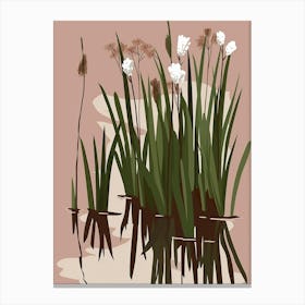 White Reeds Canvas Print