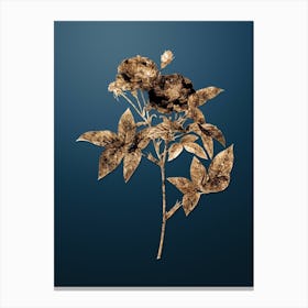 Gold Botanical Van Eeden Rose on Dusk Blue n.4483 Canvas Print