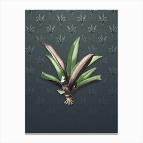 Vintage Boat Lily Botanical on Slate Gray Pattern n.2369 Canvas Print
