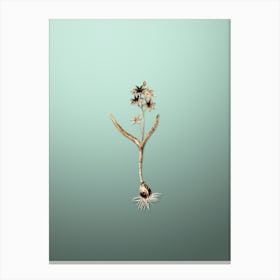 Gold Botanical Alpine Squill on Mint Green n.1306 Canvas Print