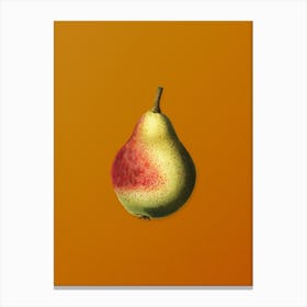 Vintage Pear Botanical on Sunset Orange n.0282 Canvas Print