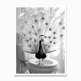 Peacock On Toilet Leinwandbild