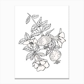 Pomegranate Branch Canvas Print
