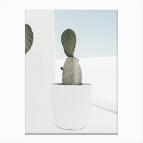 Minimal Cactus, Santorini Canvas Print