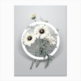 Vintage Chrysanthemum Minimalist Botanical Geometric Circle on Soft Gray n.0453 Canvas Print