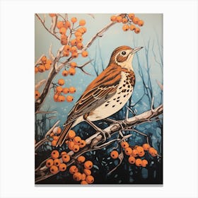 Vintage Bird Linocut Hermit Thrush 4 Canvas Print