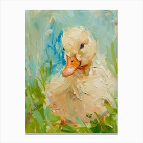 Duckling 4 Canvas Print