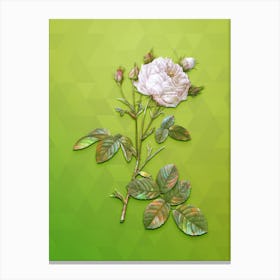 Vintage White Provence Rose Botanical Art on Love Bird Green n.1393 Canvas Print