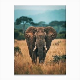 Elephant In The Savannah 1 Canvas Print