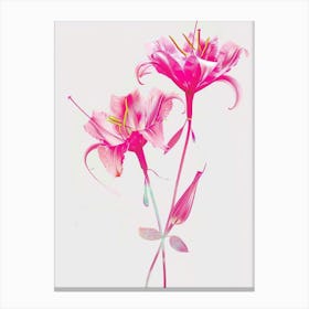 Hot Pink Gloriosa Lily 3 Canvas Print
