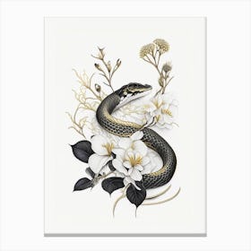 Dione Rat Snake Gold And Black Canvas Print