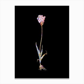 Stained Glass Chincherinchee Mosaic Botanical Illustration on Black n.0302 Canvas Print