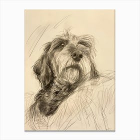 Petit Basset Griffon Vendeen Dog Charcoal Line 3 Canvas Print